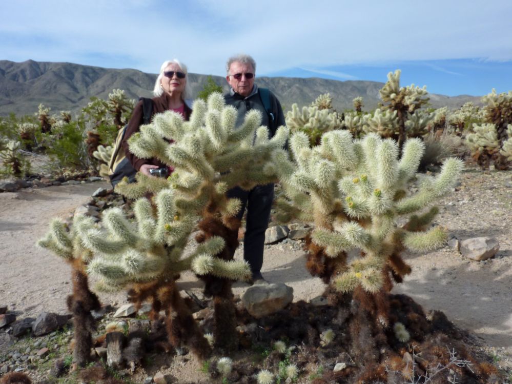 joshua tree national park (21).JPG
